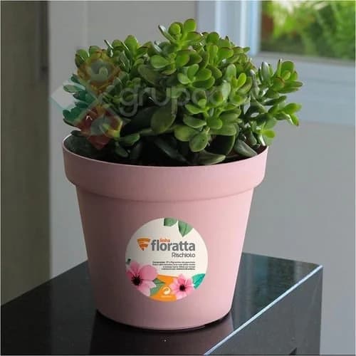 Macetero Maceta Plastica Para Plantas 3 Litros 19 Cm — imagen 2 de 3