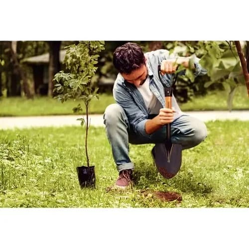 Pala de punta con mango de madera y empuñadura plástica Tramontina 45 cm — imagen 4 de 5