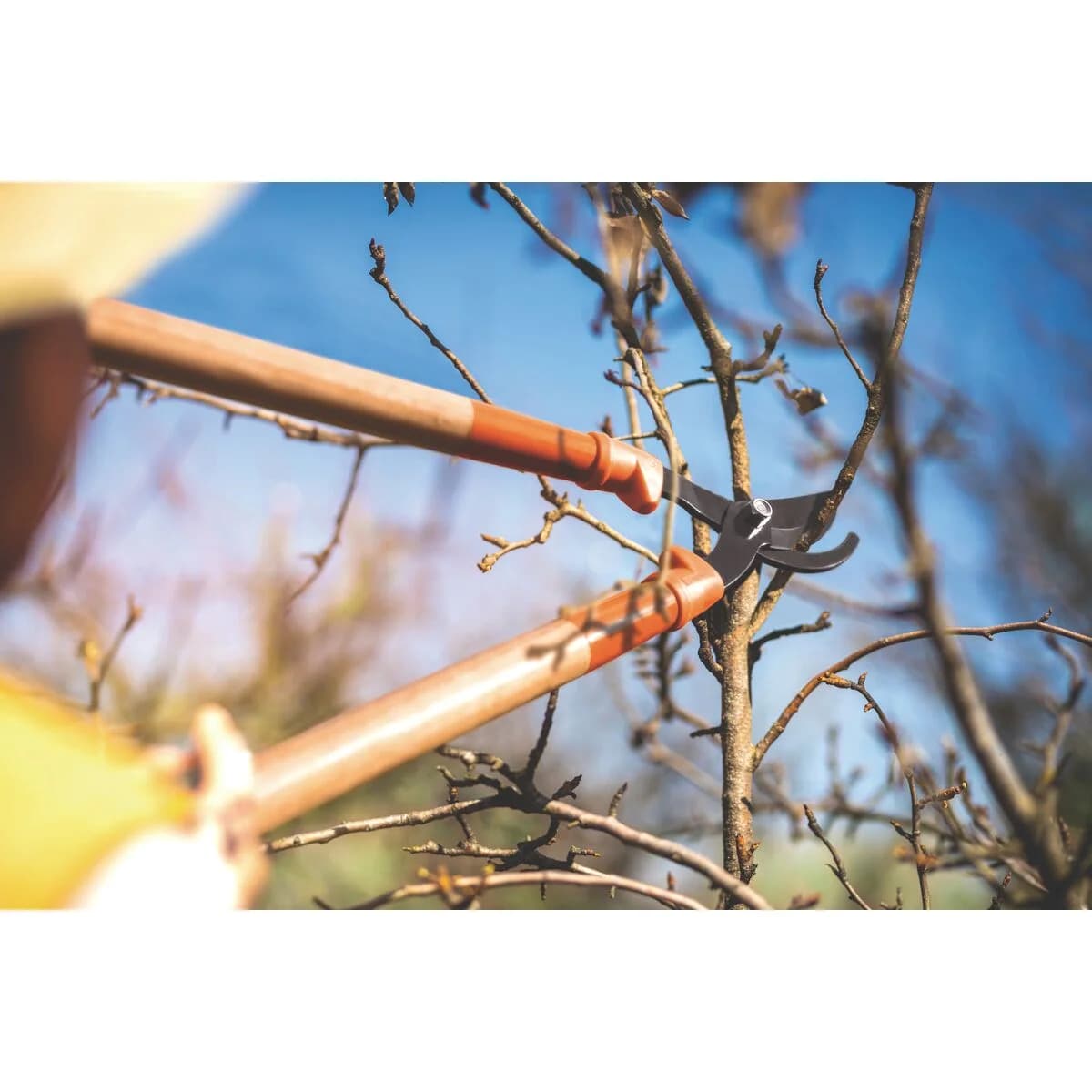 Tijera De Podar Tramontina De Acero Con Mango Madera 60 Cm — imagen 7 de 7