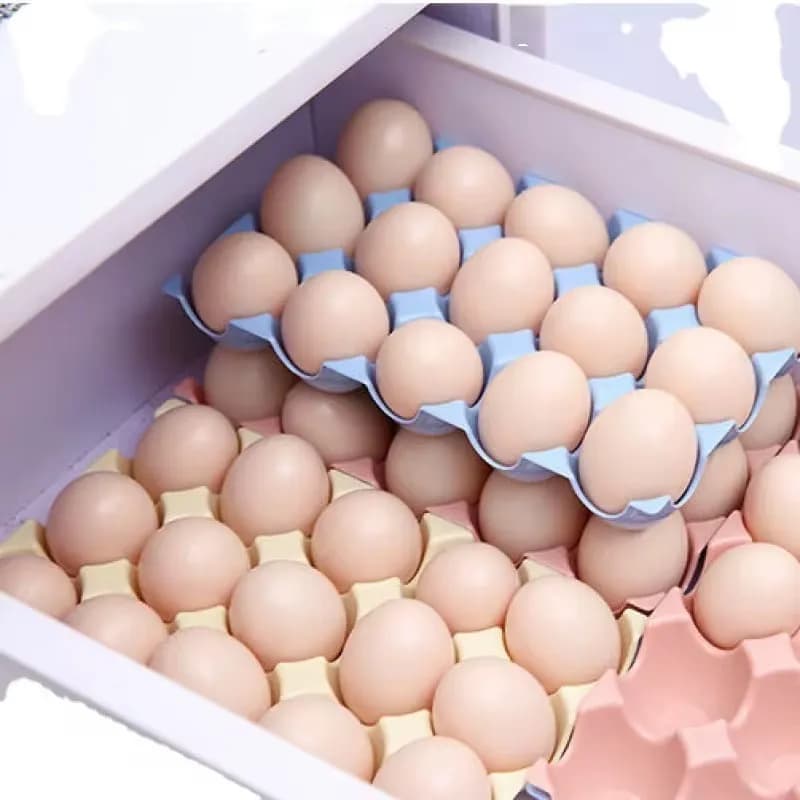 Huevera Organizador De Huevos Para 15 Unidades Plastico — imagen 3 de 4
