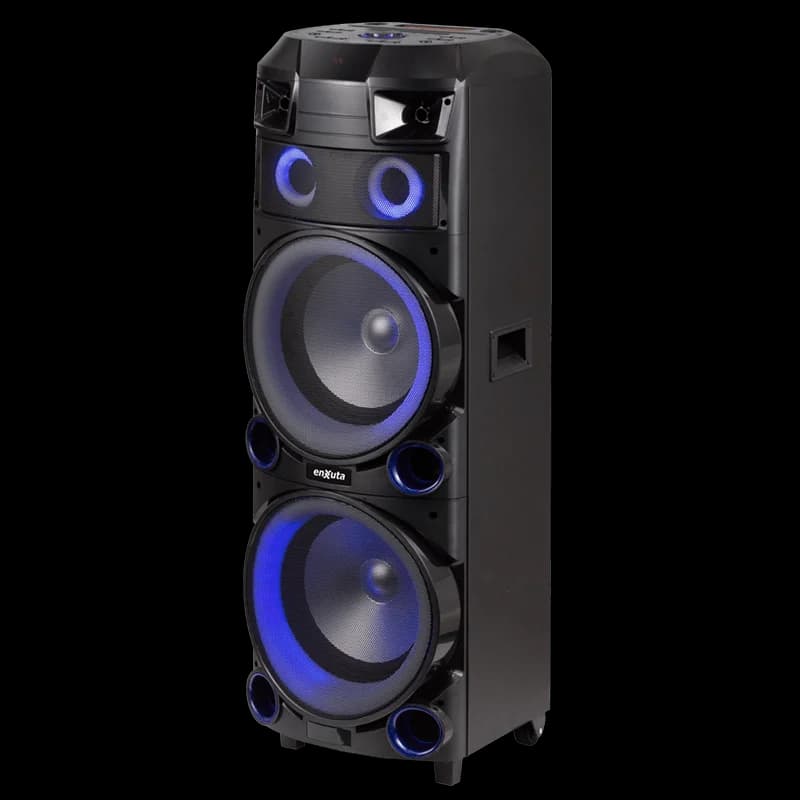 Torre de Sonido 2 x 12 Pulgadas 800 Watts PMPO — imagen 4 de 8