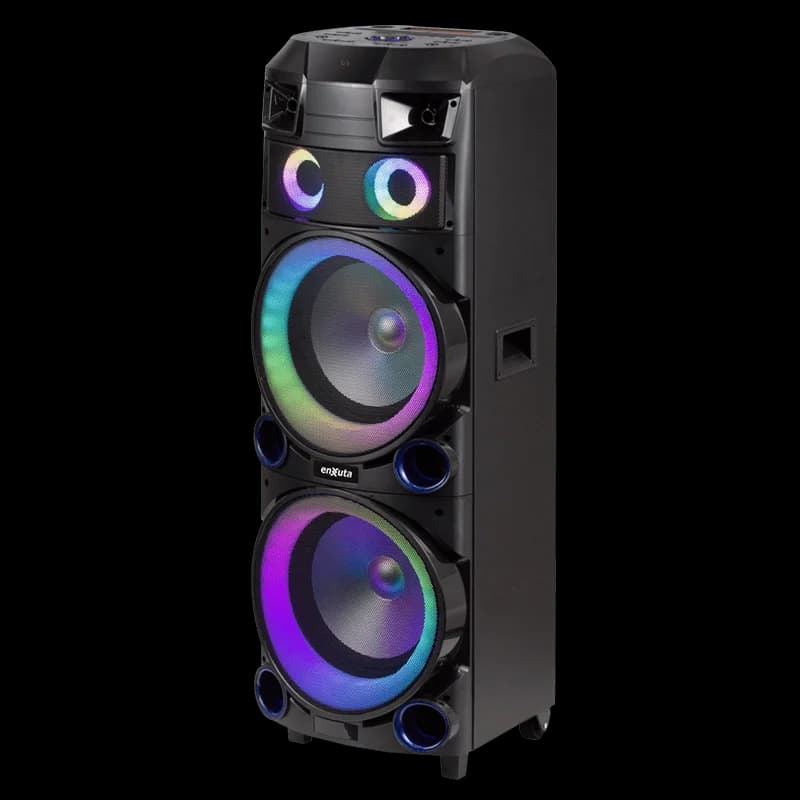 Torre de Sonido 2 x 12 Pulgadas 800 Watts PMPO — imagen 5 de 8