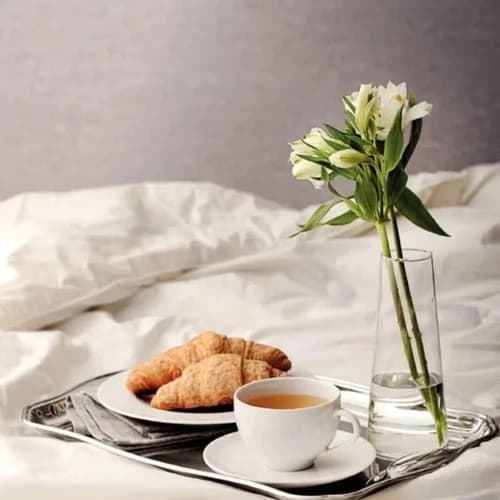 Set Taza Y Platillo Para Té Tramontina Porcelana 250 Ml Blanco — imagen 2 de 8